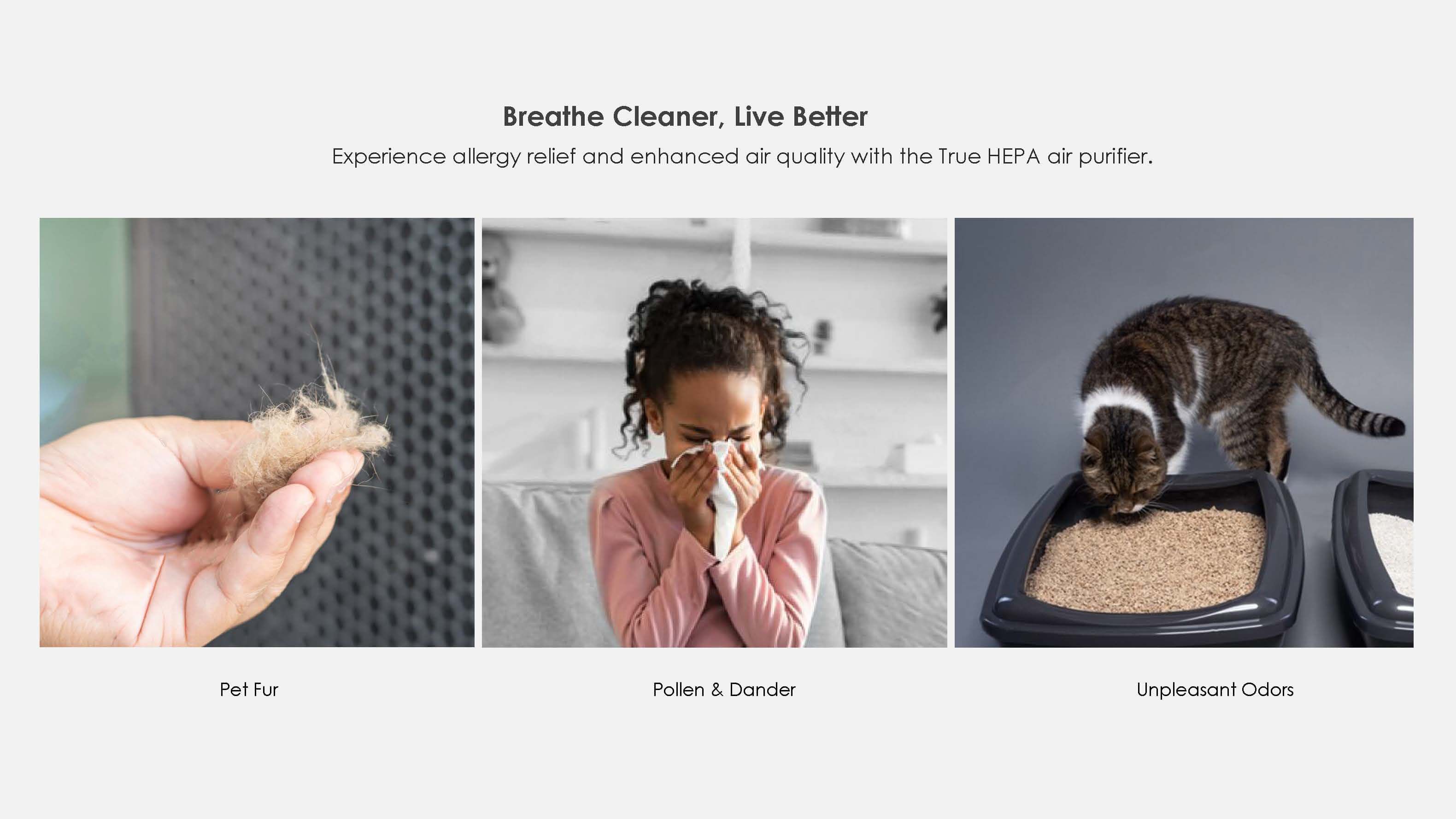 Best Air Purifier Cleaner  for Home Pets HEPA Purifier for Smoke Dust Pollen with AUTO PM2.5 Sensor AP-M1346AS