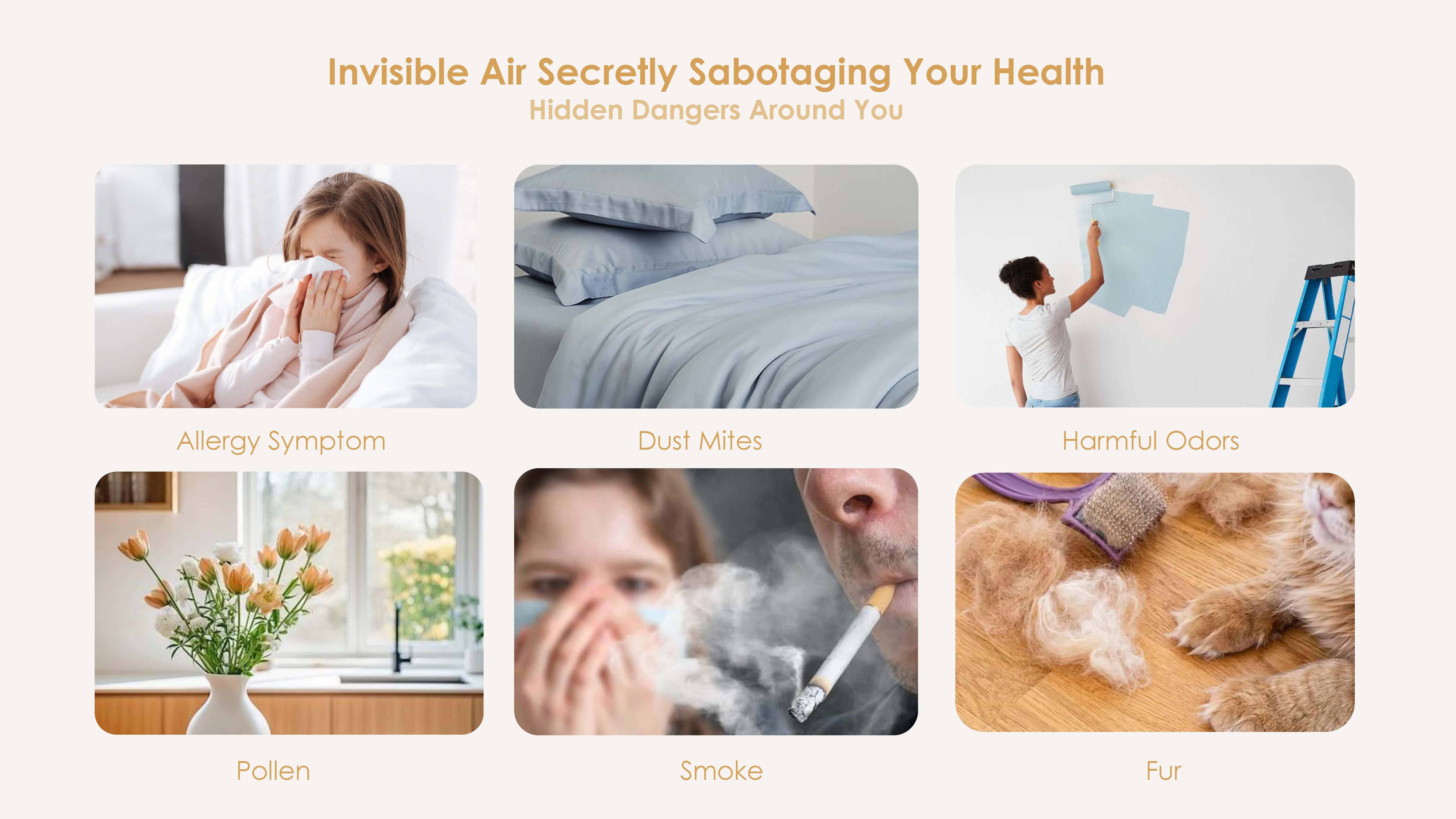 Best Air Purifier Manufacturer HEPA Air Cleaner with PM2.5 Sensor for Pets Home Office Smoke Dust Pollen AP-H3029U
