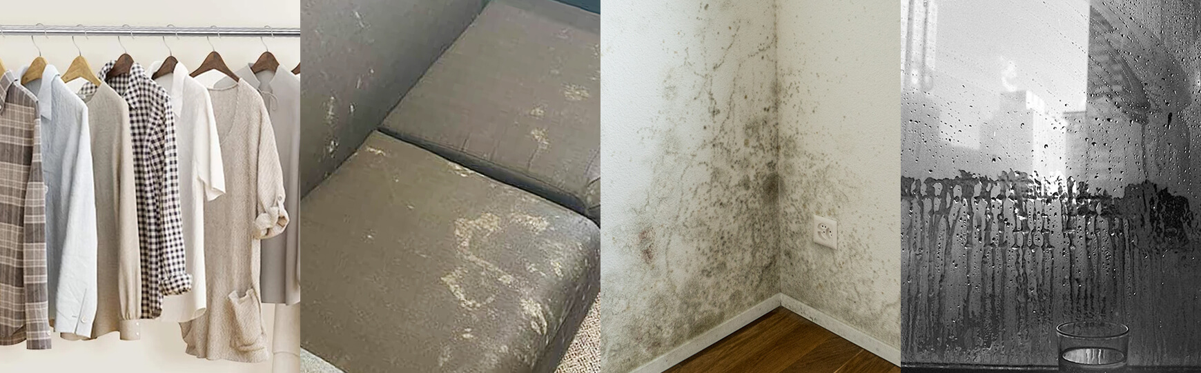 Best Dehumidifier for Basement Auto Mode for Home Basement Bathroom