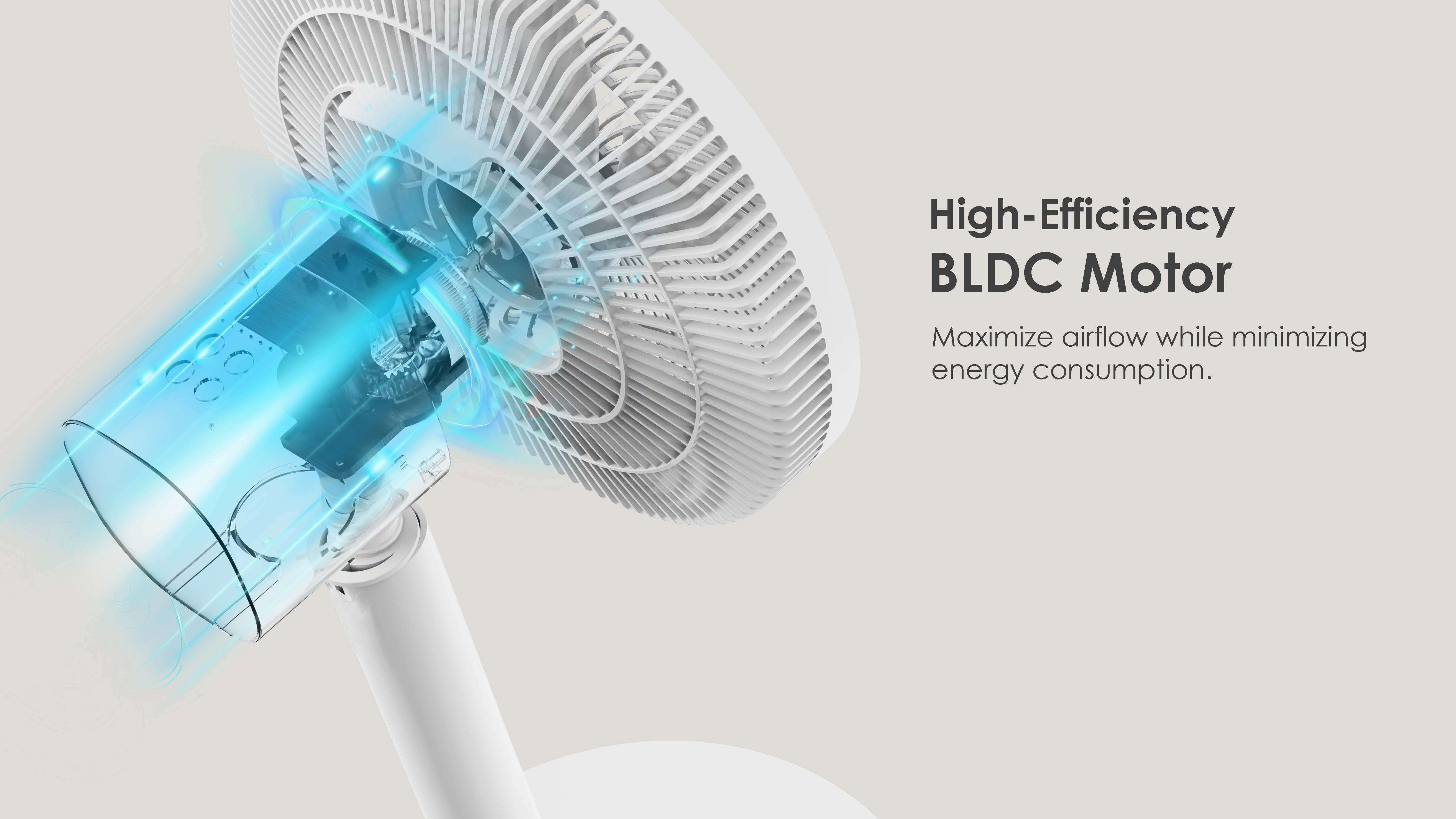 Comefresh 12 inch Adjustable Standing Pedestal Fan with BLDC Motor 140-Degree Oscillating Floor Fan with Remote Timer 6 Speeds AP-F1270RT