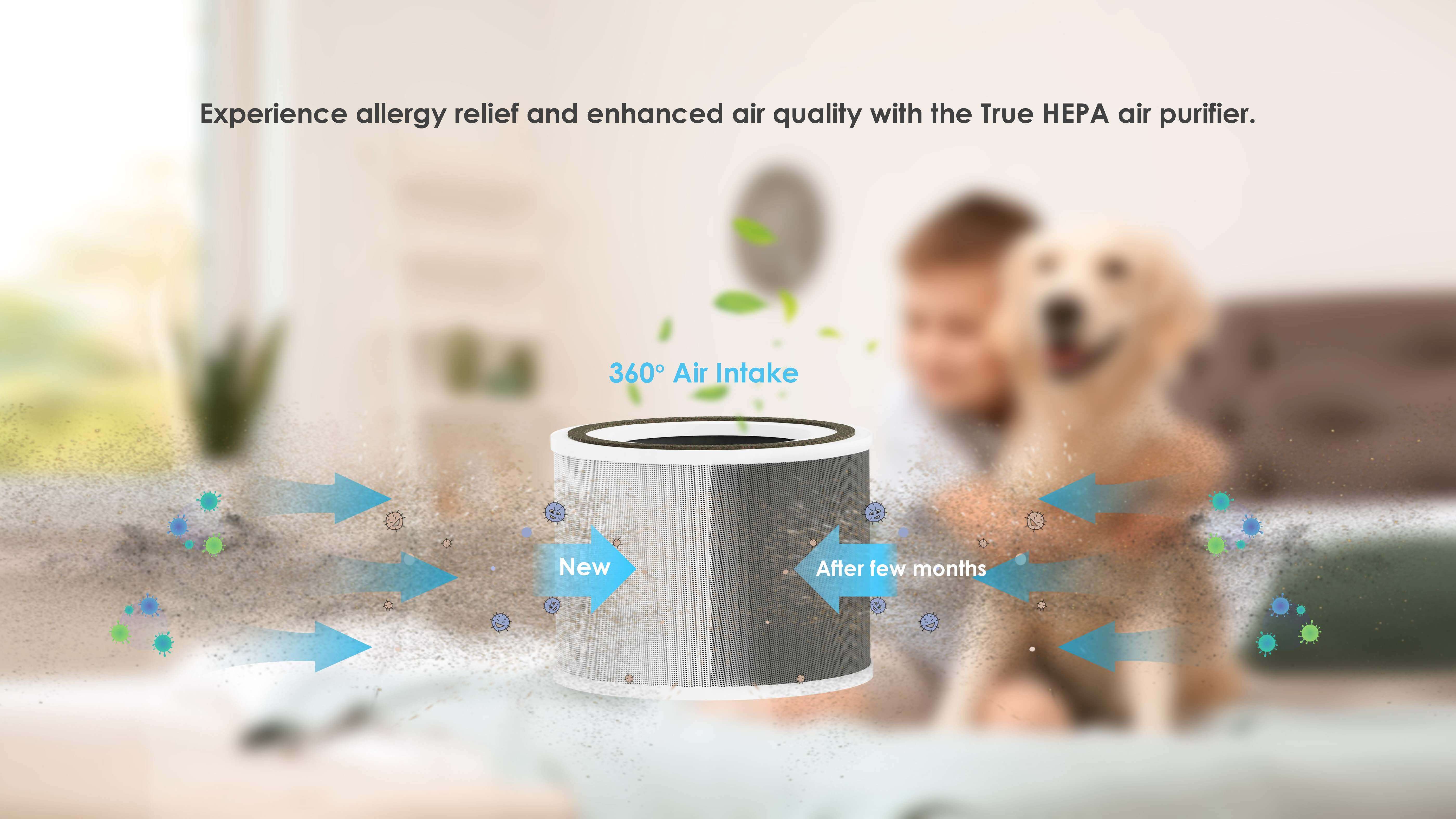 Comefresh Air Purifier for Home Pet Air Cleaner with AUTO PM2.5 Sensor HEPA Purifier for Smoke Dust Pollen AP-M1346AS