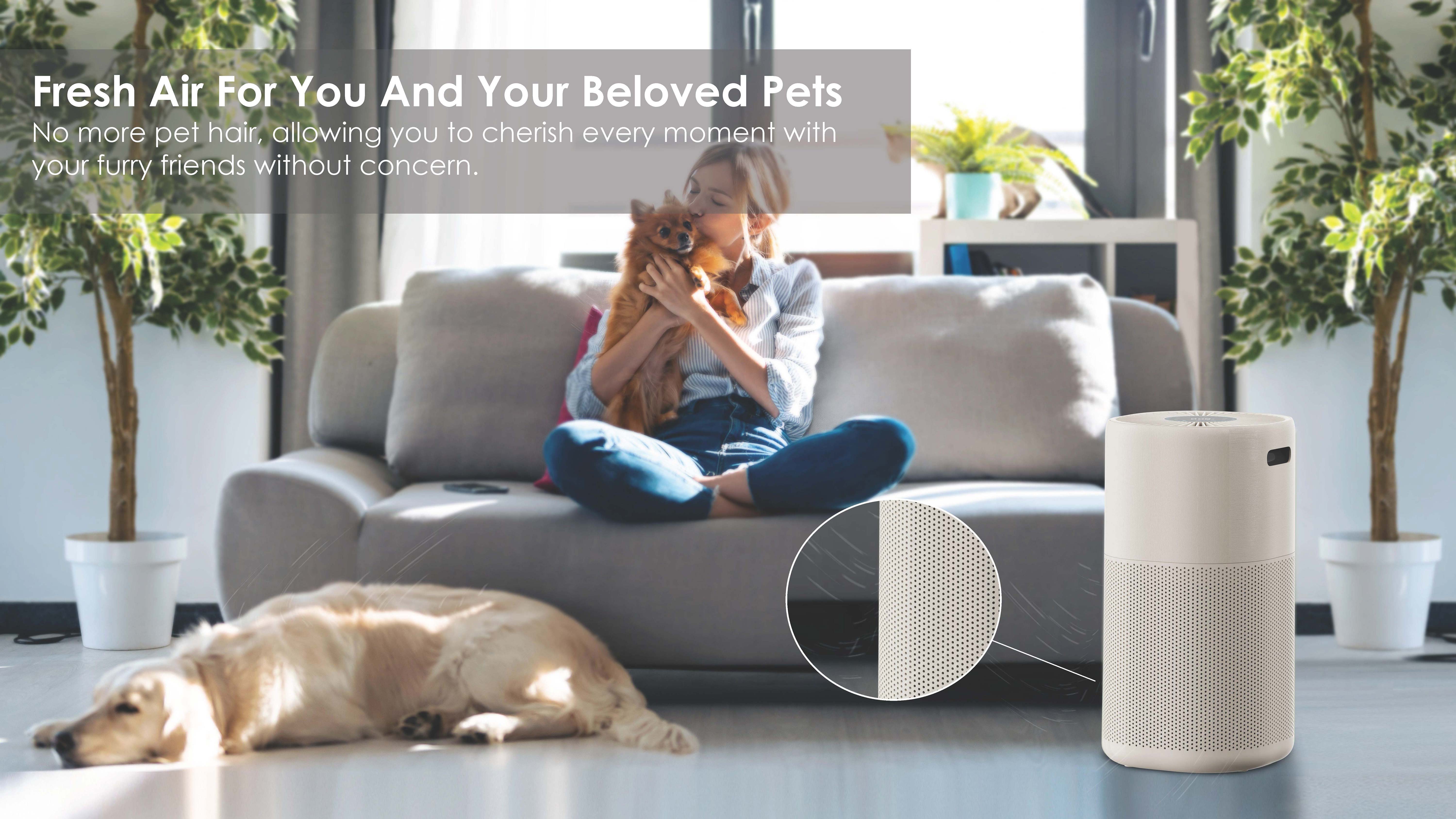 Comefresh Best Air Cleaner Purifier with AUTO Smart Air Filter for Home Living Room Office AP-H3029U