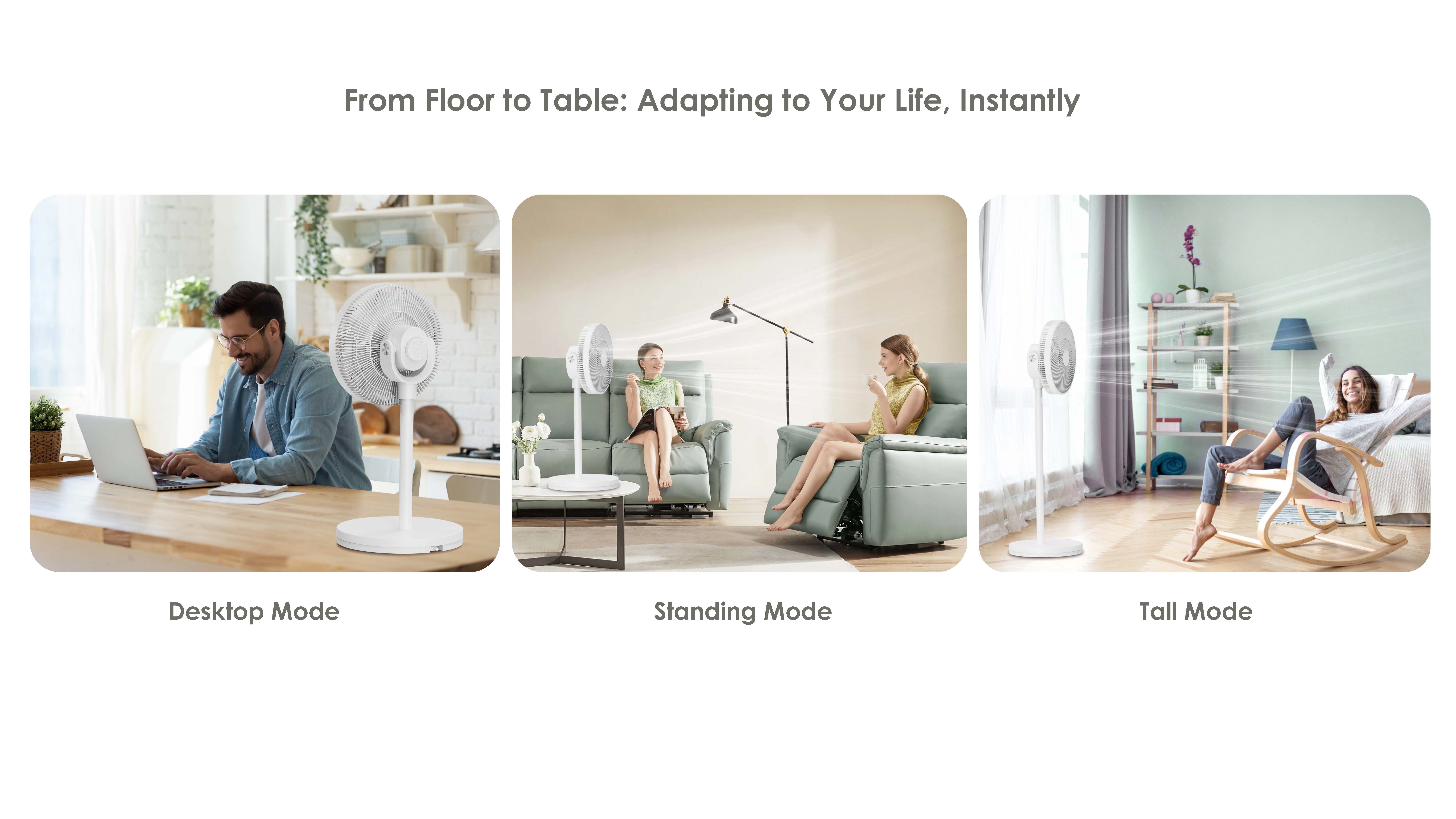 Fan Manufacturer Comefresh Pedestal Standing Fan with Ionizer Remote BLDC Motor Oscillating Fan Floor Fan with Nightlight for Home Office AP-F1410ABLRS